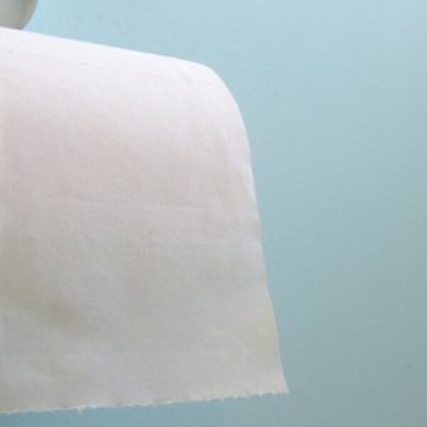 Utilex Plain White Toilet Paper Roll